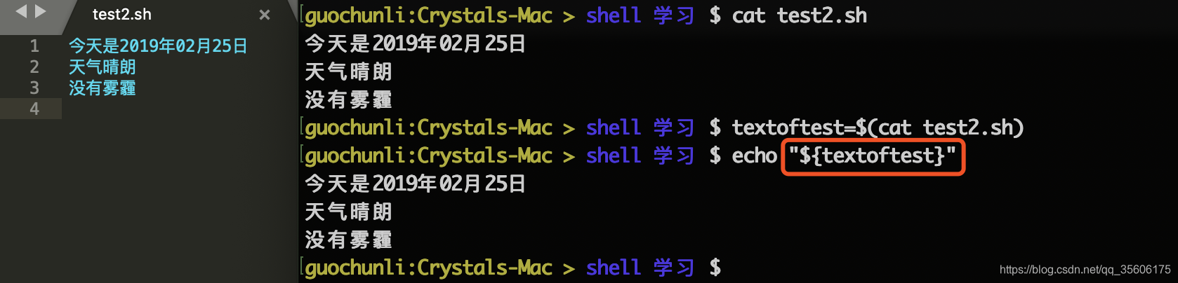 Shell 变量 文艺风程序猿 Csdn博客