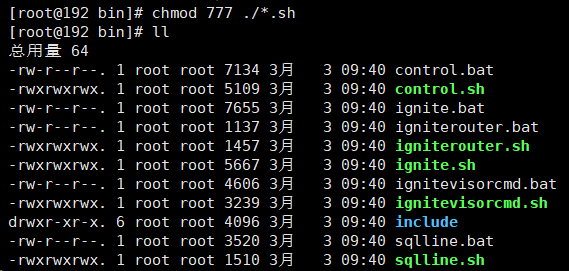 ignite安装与启动_ignite linux-CSDN博客