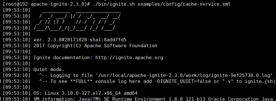 ignite安装与启动_ignite linux-CSDN博客