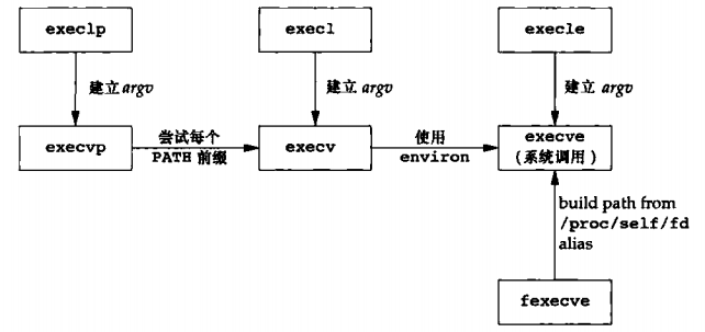 Linux -- exec函数的学习记录_man execv-CSDN博客