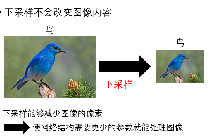 下采样
