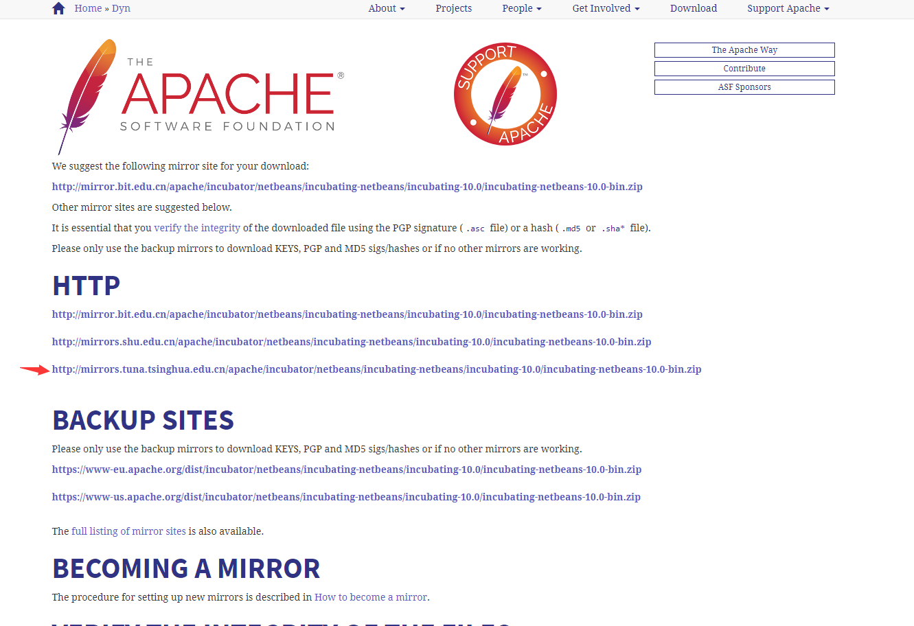 Java-NetBeans开发环境的搭建(最新版)【2019.3.6】_netbeans下载安装教程2019-CSDN博客