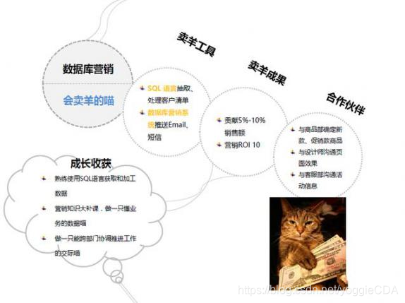 本科数据分析师,本科数据分析师一般一个月多少钱