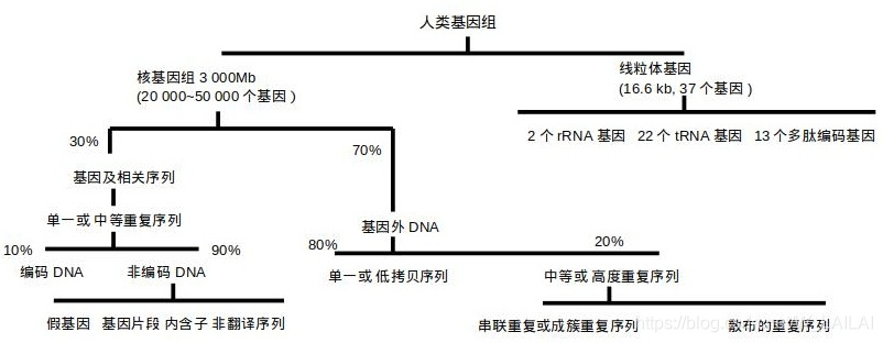 csdn