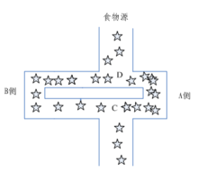 初始蟻群爬行路線