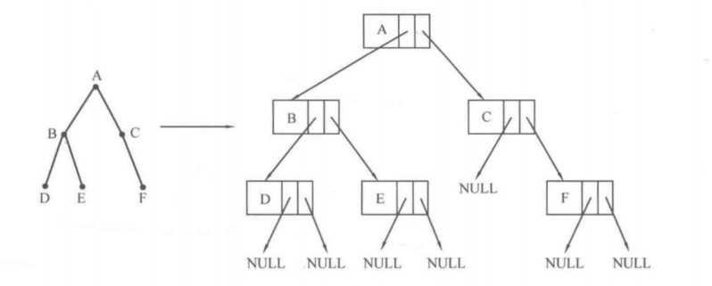 二叉树存储结构中 *root==NULL 跟 root==NULL的区别_root == null什么意思-CSDN博客