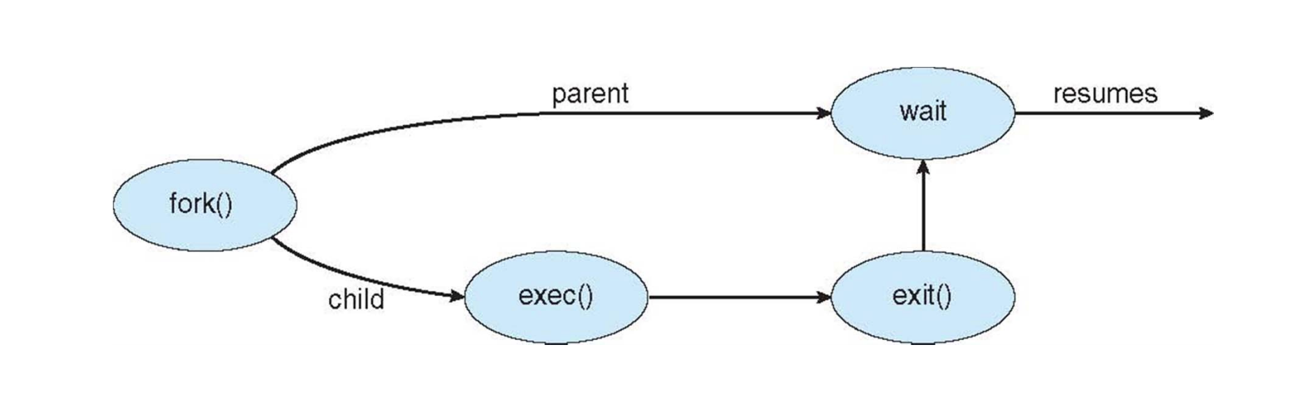 What Is Fork In Linux vrogue.co