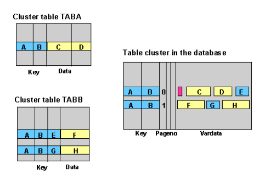 08-sap-abap-cluster-table-pooled-table-abap-csdn