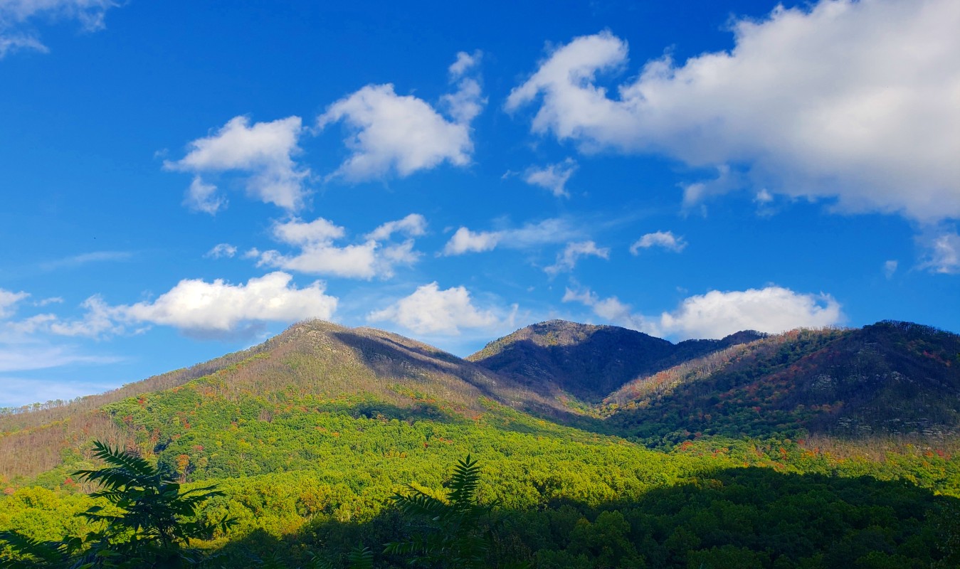 走遍美国之大雾山国家公园