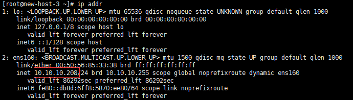 查看IP地址-成功