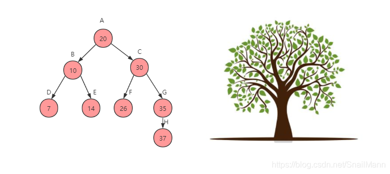 【数据结构】初入数据结构的树(Tree)以及Java代码实现(一)_树形结构添加数据 java-CSDN博客