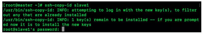 slave1-nopassword