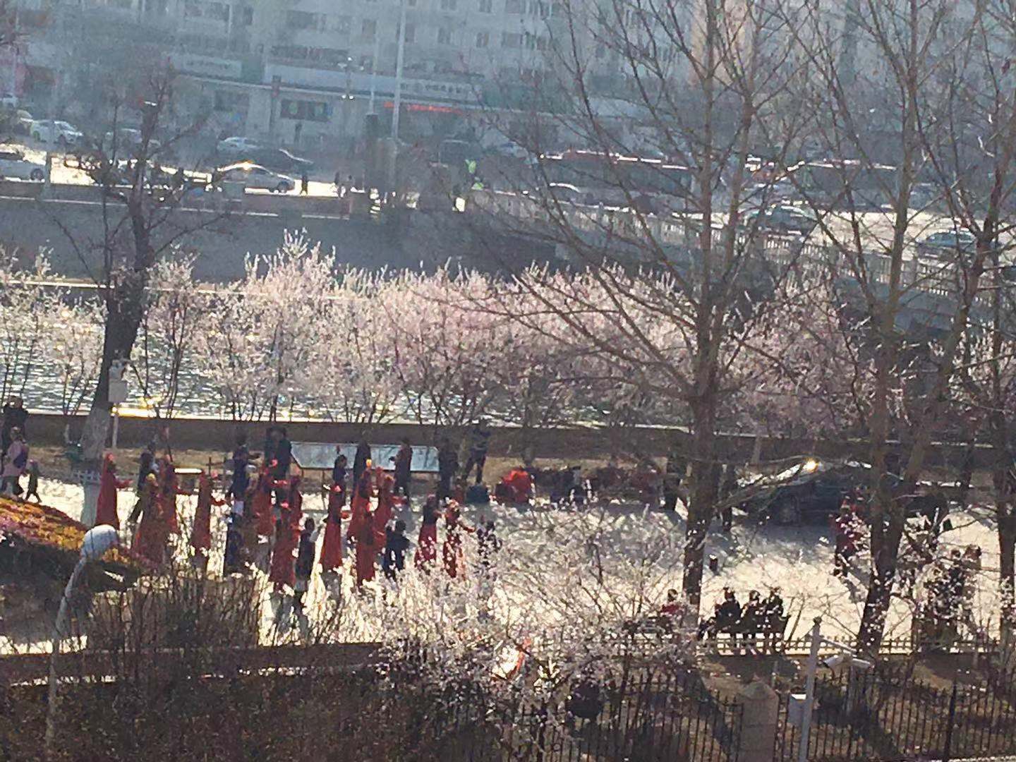 桃花节开幕与国家重点实验室开放日