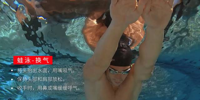 蛙泳学习进阶踩水