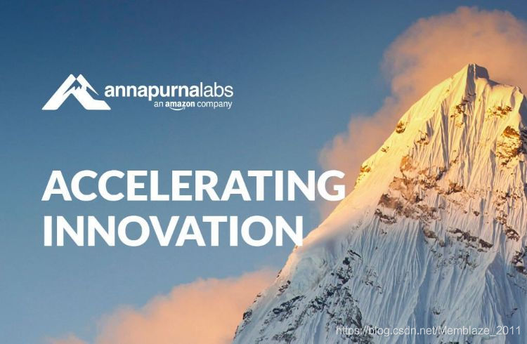 Annapurna Labs