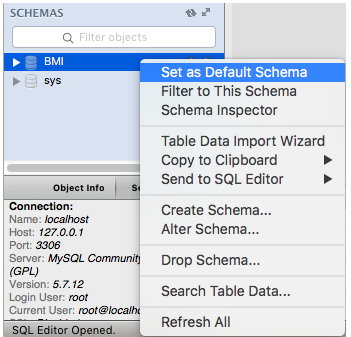 Mysql Workbench使用教程