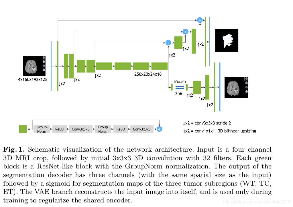 3D MRI brain tumor segmentation using autoencoder regularization-CSDN博客