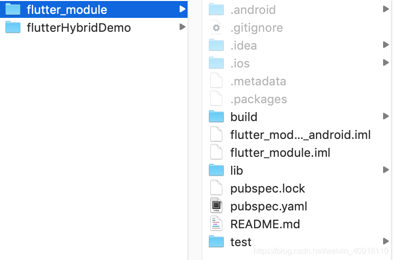 flutter_module目录结构