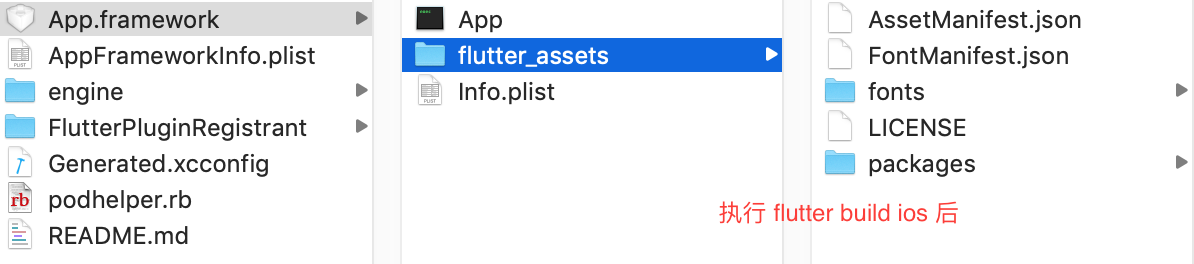 flutter_build_ios