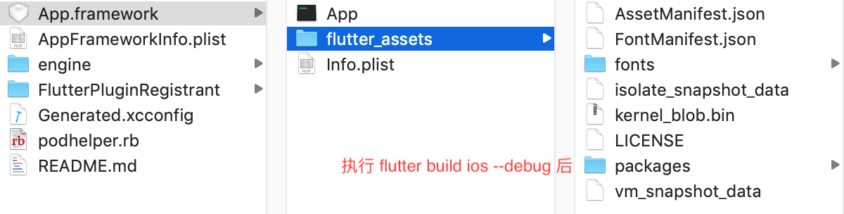 flutter_build_ios_debug