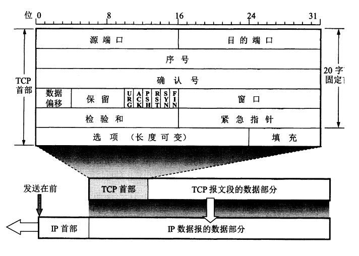 TCP报文格式