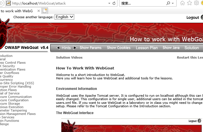 WebGoat安装