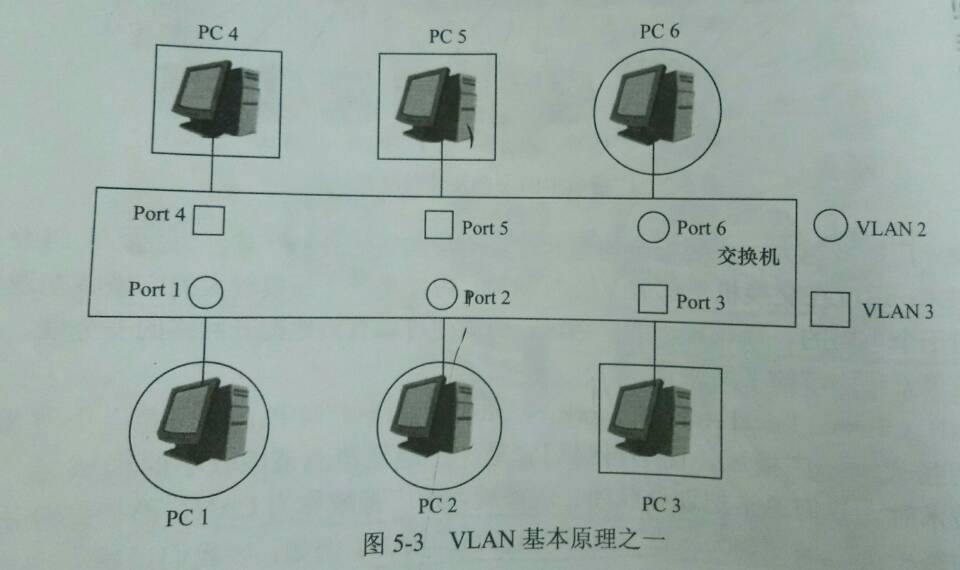 vlan的原理和作用_生态因子作用的基本原理