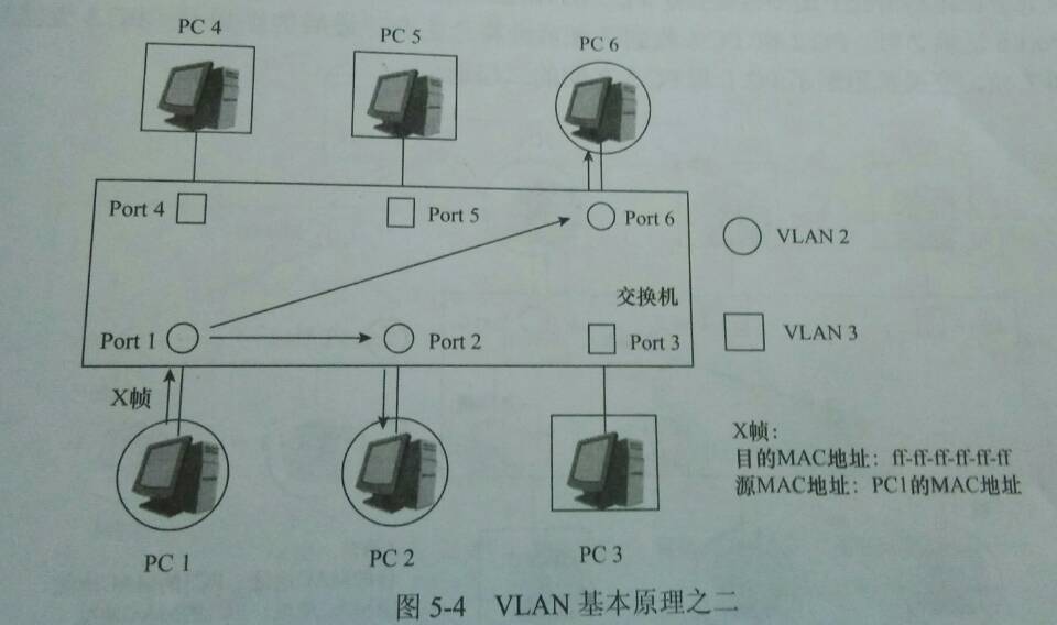 vlan的原理和作用_生态因子作用的基本原理