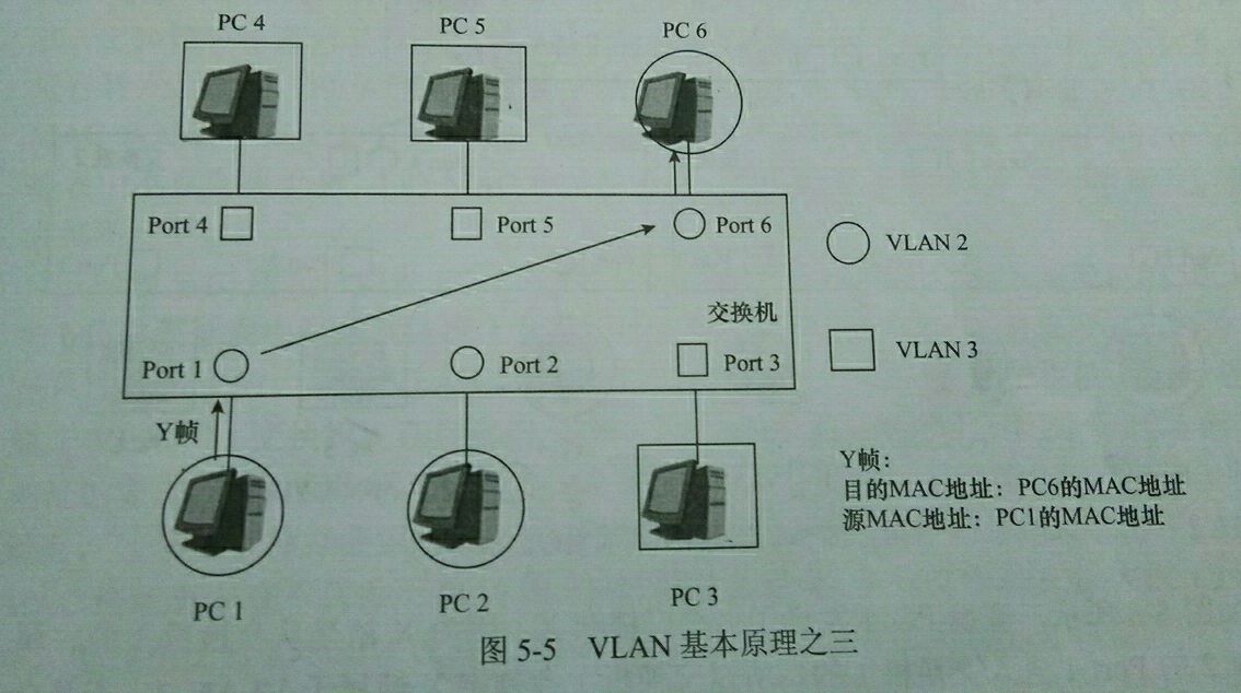 vlan的原理和作用_生态因子作用的基本原理