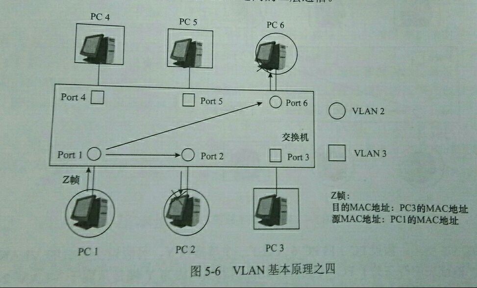 vlan的原理和作用_生态因子作用的基本原理