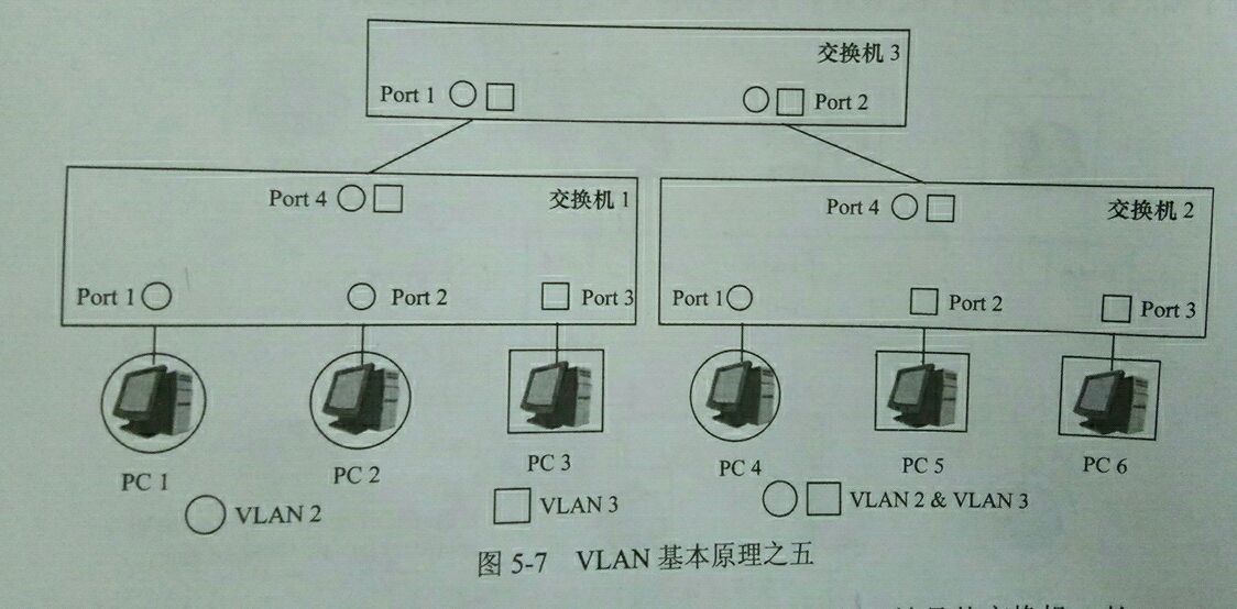 vlan的原理和作用_生态因子作用的基本原理