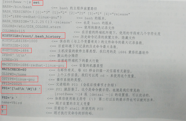 Linux 3 Shell基础 意念回复的博客 Csdn博客