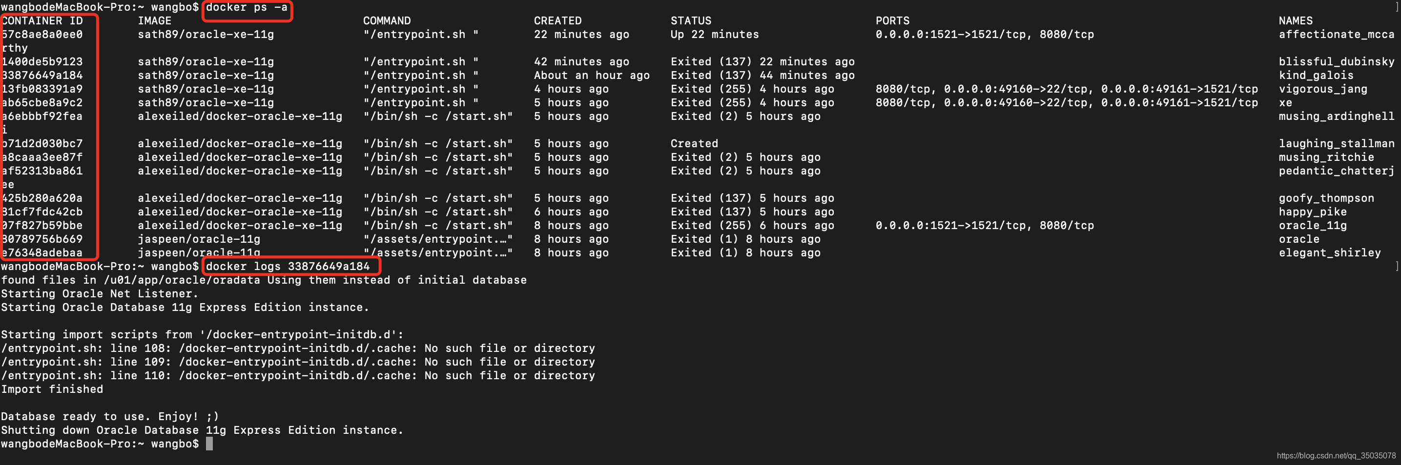 Mac Windows 通过docker安装oracle 11g 持久化完整版 波波 程序员宅基地 程序员宅基地