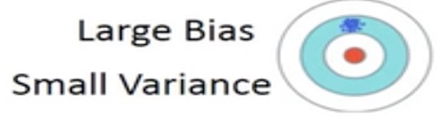 big-bias