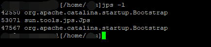 org.apache.catalina.startup.Bootstrap就是我们的tomcat进程啦