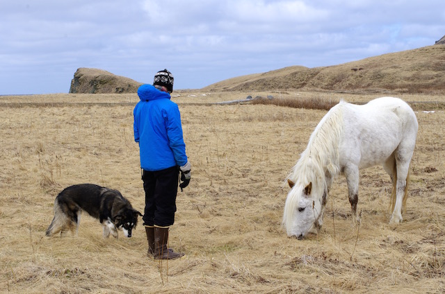 深度学习之图像分类