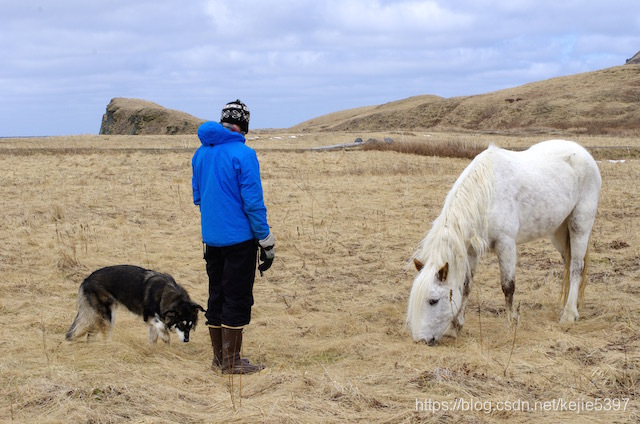 深度学习之图像分类