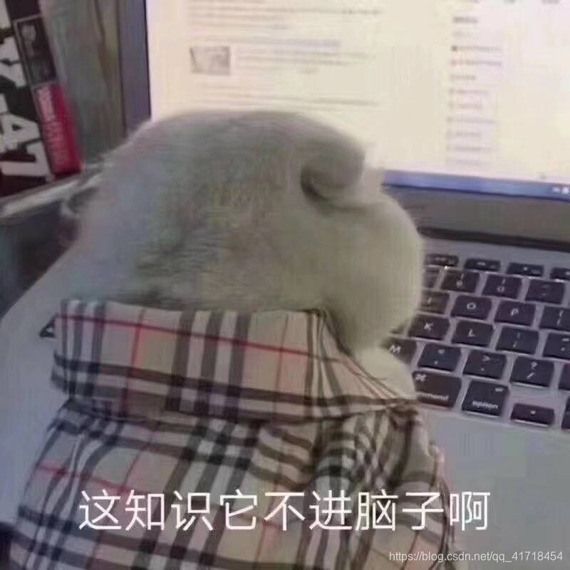 辣鸡的猫我