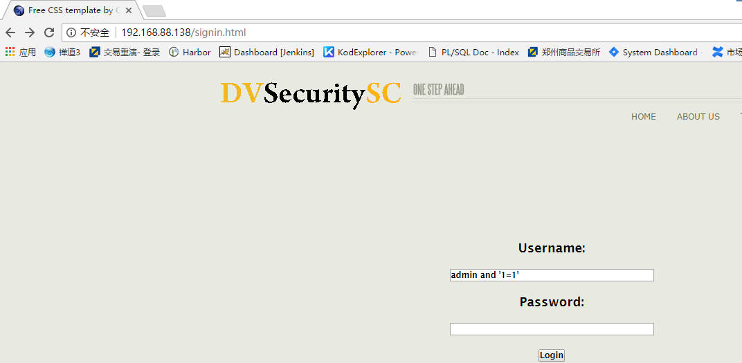 Owasp broken web apps 