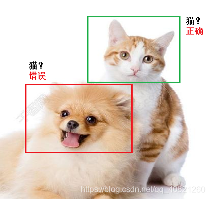 动物分类-强化学习