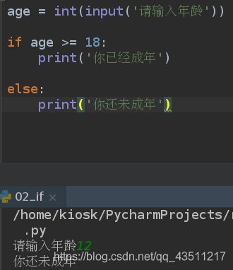 python中if语句的使用_python if-CSDN博客