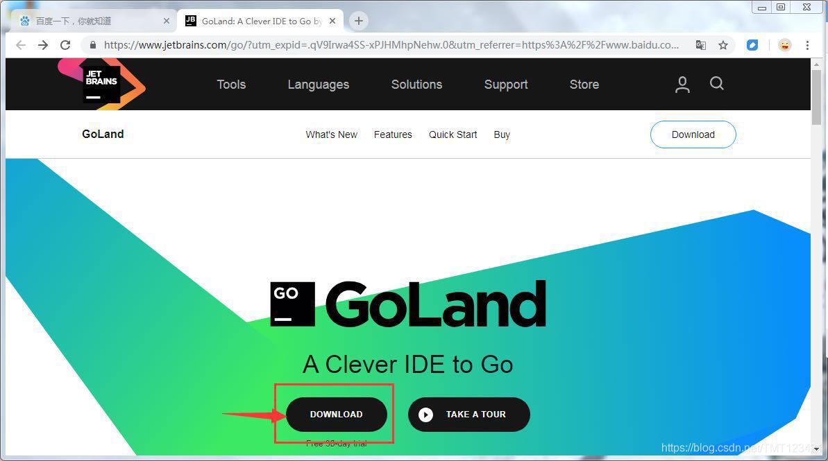 GoLand_download