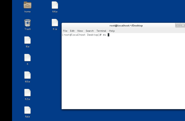 linux文件管理命令