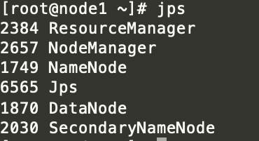 Hadoop jps