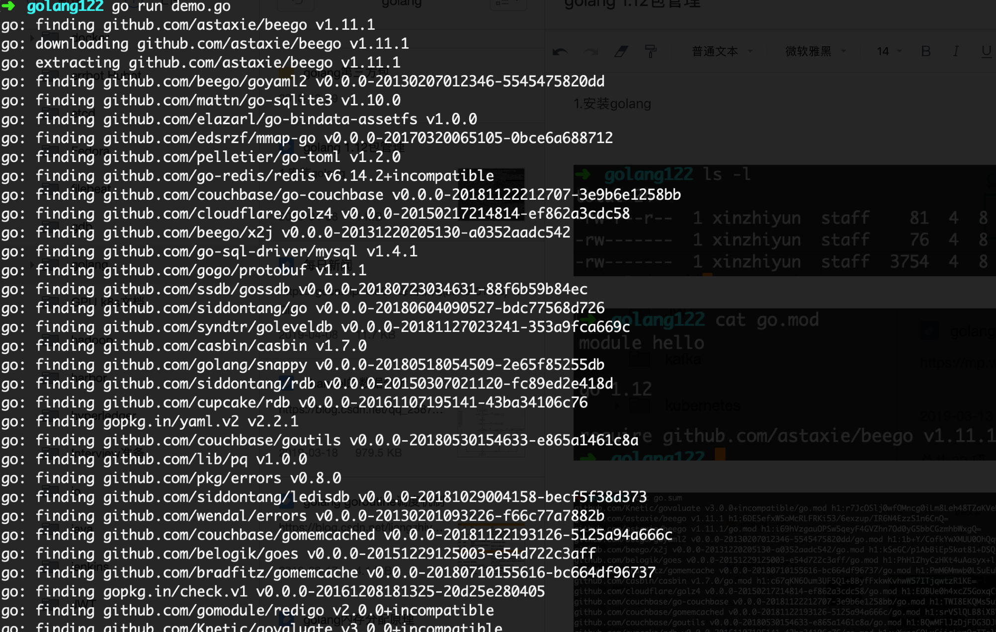 Golang 1.12 package management exploration - Programmer Sought