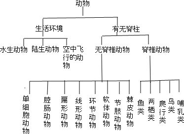 [python] 层次聚类 Agglomerative Clustering