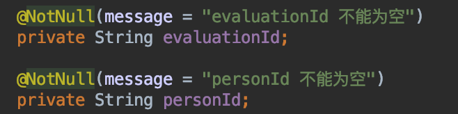 @NotNull注解