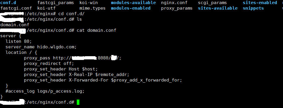 使用指定”hido.wlgdo.com“的二级域名配置