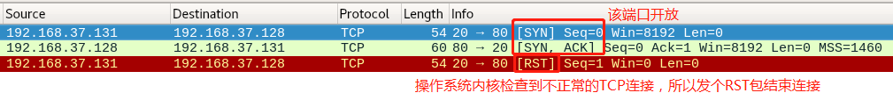 wireshark display filter ttl