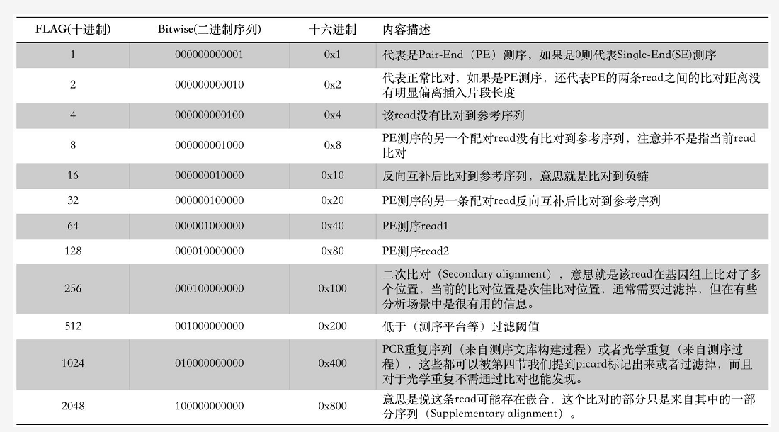 SAM和BAM格式详解_bam and sam-CSDN博客